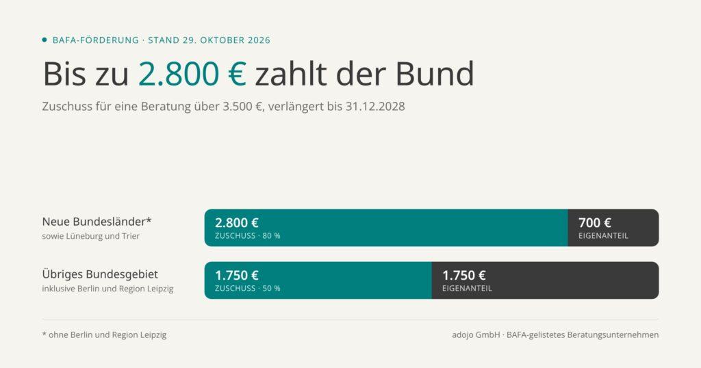 BAFA-Beratungsförderung: Bund zahlt bis zu 2.800 Euro einer Beratung über 3.500 Euro, Eigenanteil 700 Euro in den neuen Bundesländern, 1.750 Euro im übrigen Bundesgebiet